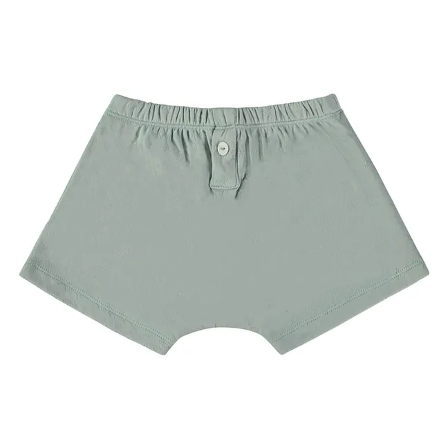 Boxer Nano Coton Bio | Turquoise