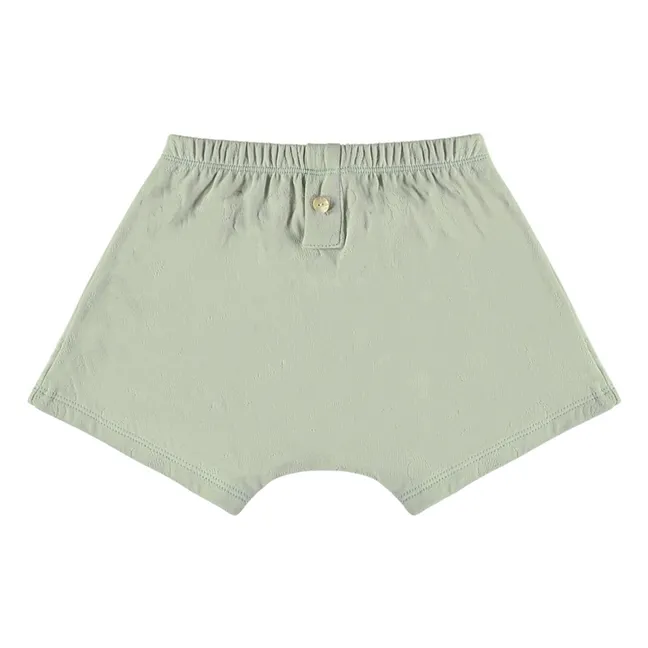 Boxer Nano Coton Bio | Vert amande