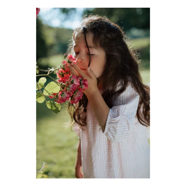 Chemise de Nuit Ostuni Vichy Coton Bio | Rose pâle