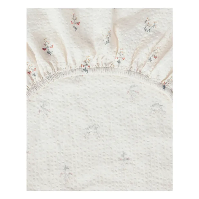 Sábana Ajustable Fresa | Crudo