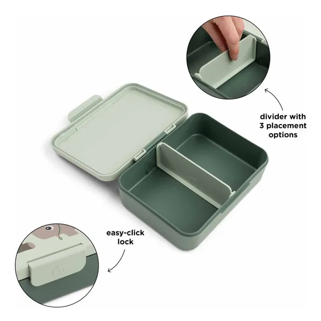 Lunch-box Trails | Vert foncé
