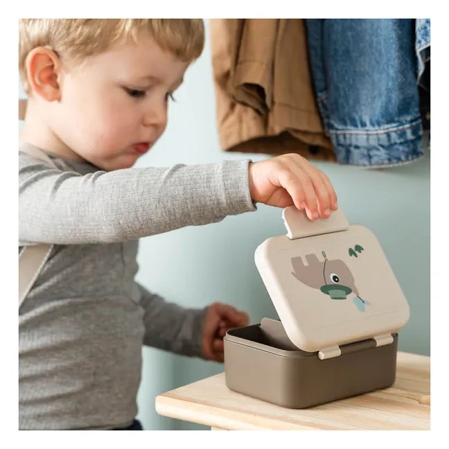 Caja de aperitivos Trails | Marrón