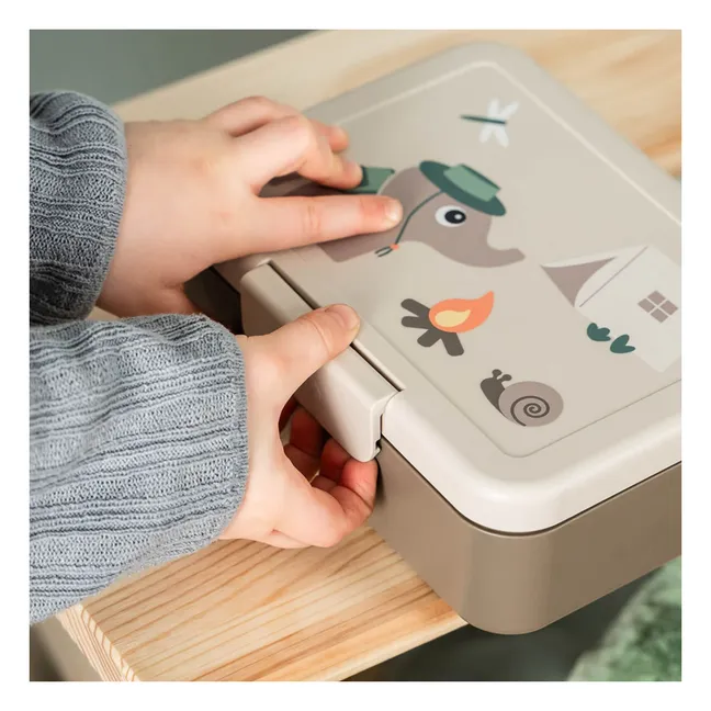 Rutas con fiambrera | Marrón