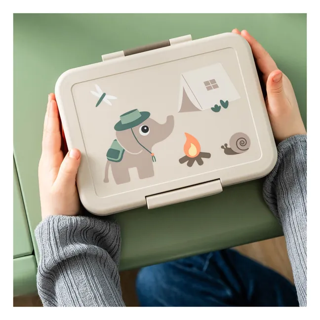 Lunch-box Trails | Marron