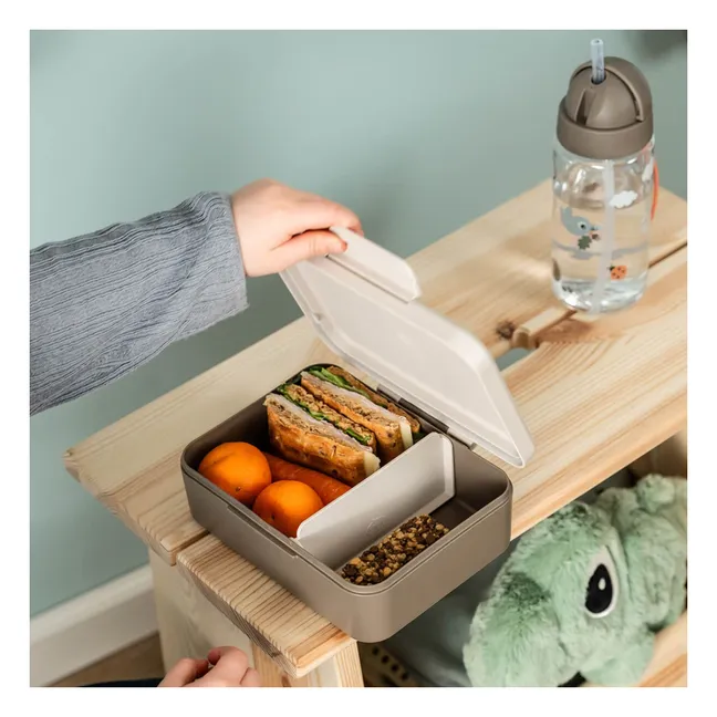 Lunch-box Trails | Marron