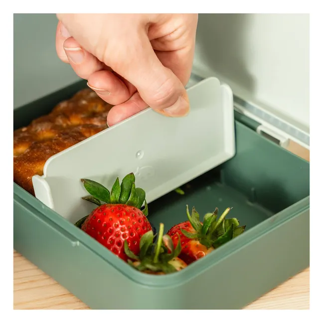 Lunch-box Trails | Vert foncé