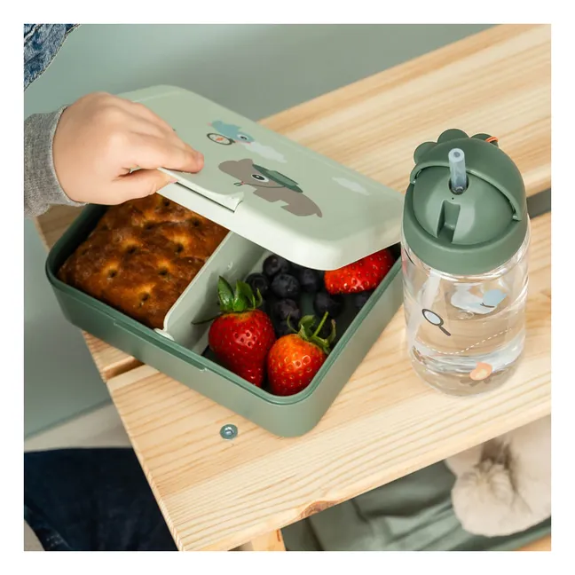 Lunch-box Trails | Vert foncé