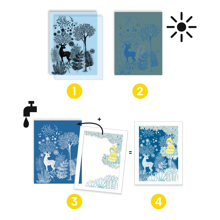 Cyanotype Moonlight- Product image n°3