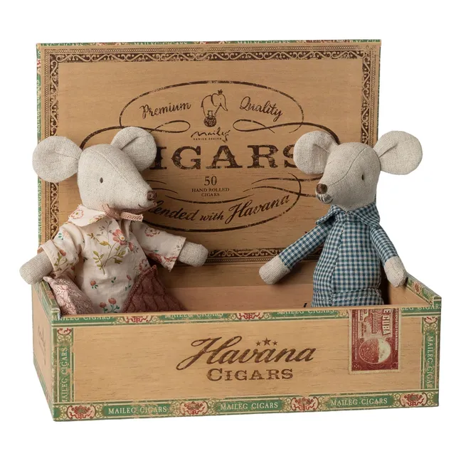 Grand-mère & grand-père souris dans leur boîte à cigares