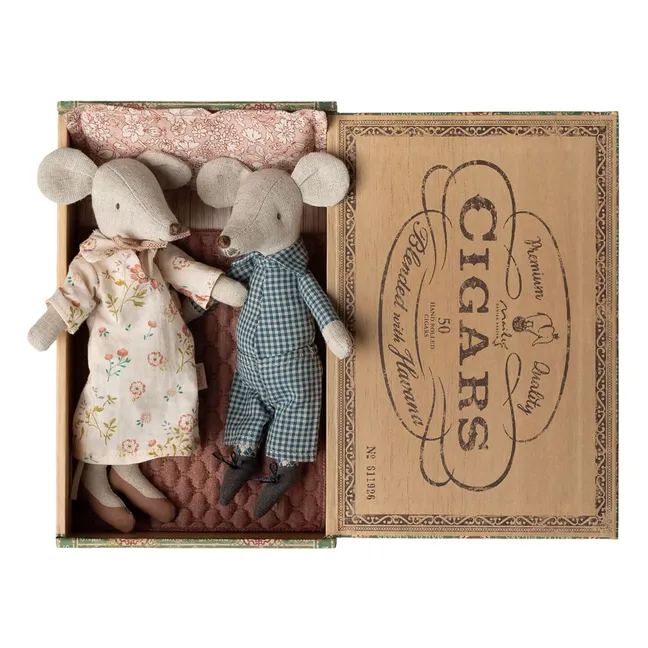 Grand-mère & grand-père souris dans leur boîte à cigares