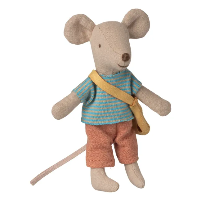 Hermano pequeño ratón con su bolsa