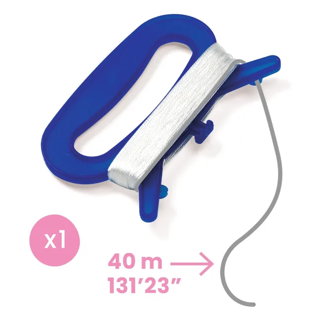 Butterfly kite