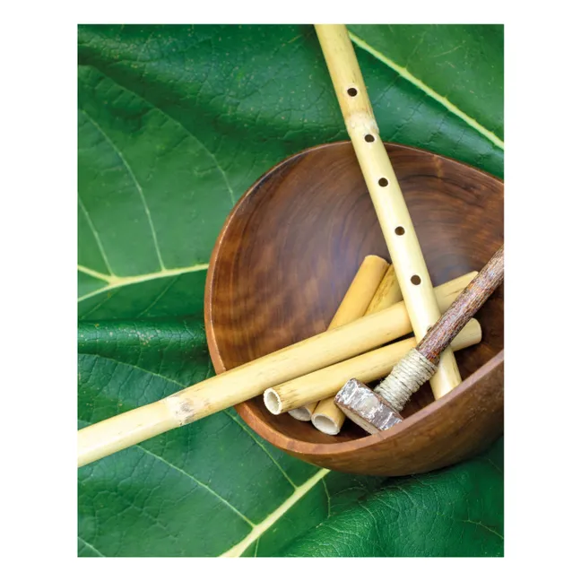 Hochet Cygne - La pequeña escuela de danza