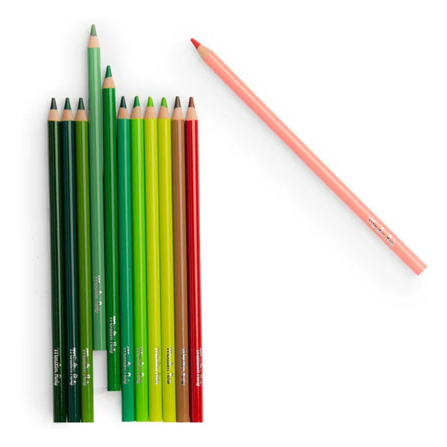 Le Botaniste colored pencils - Le jardin du Moulin