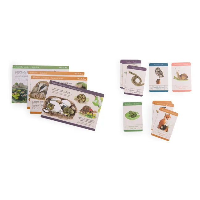 Caja de descubrimiento de animales de jardín - Le jardin du Moulin