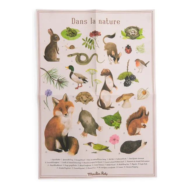 Coffret découverte animaux du jardin - Le jardin du Moulin