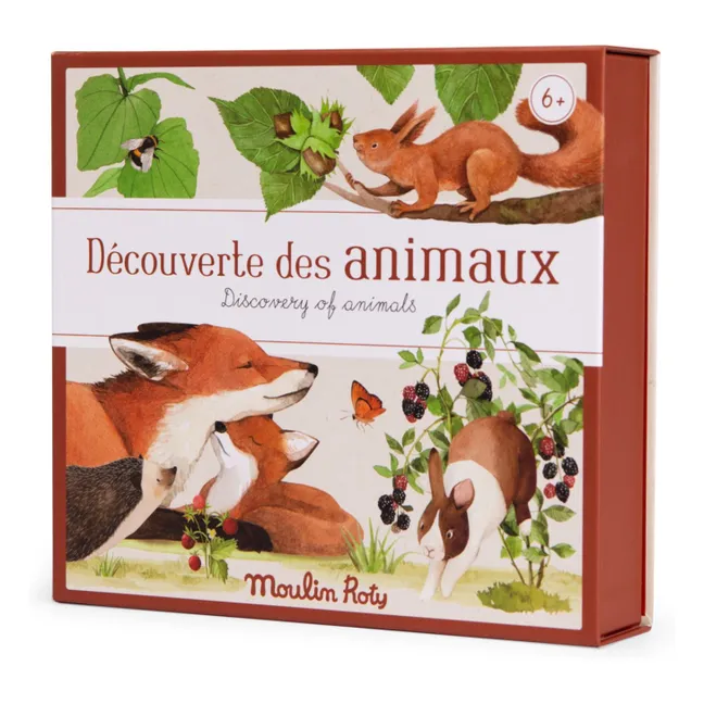 Coffret découverte animaux du jardin - Le jardin du Moulin