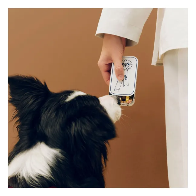 Boîte à friandise pour chien  | Bleu