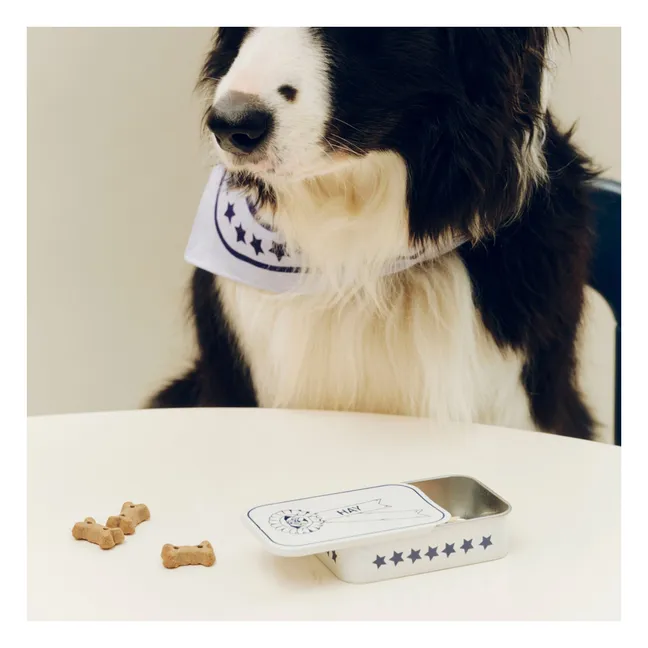 Boîte à friandise pour chien  | Bleu