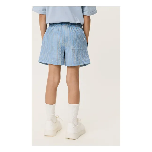 Stan Striped Swim Shorts  | Light Blue