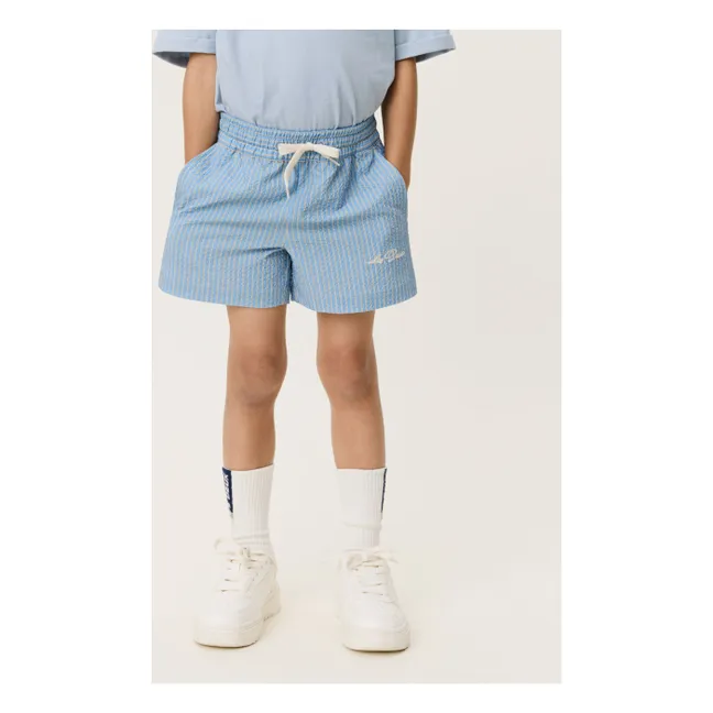 Stan Striped Swim Shorts  | Light Blue