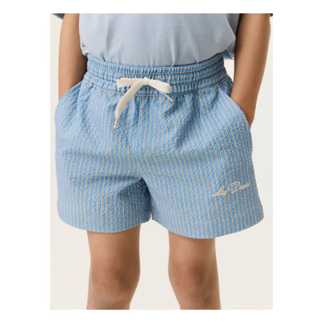 Stan Striped Swim Shorts  | Light Blue
