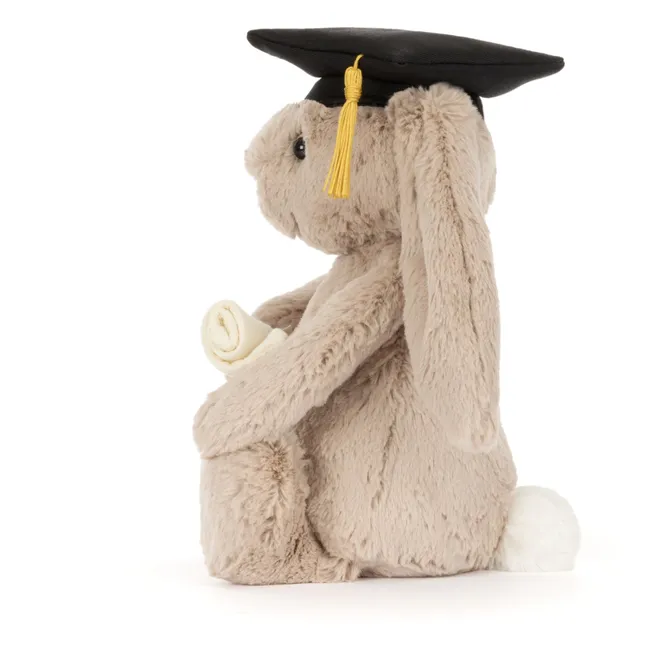 Coniglio graduato in peluche