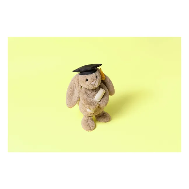 Coniglio graduato in peluche