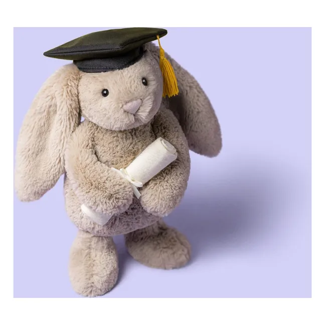 Peluche Lapin diplomé