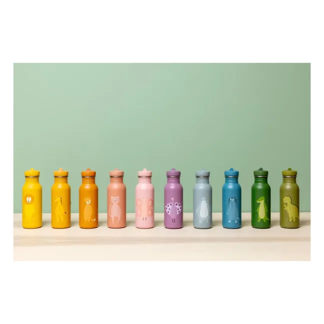 Gourde 500ml Mr. Alligator | Vert