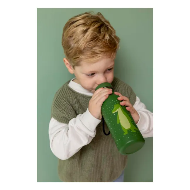 Gourde 500ml Mr. Alligator | Vert