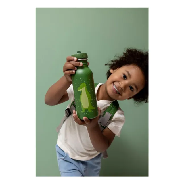 Gourde 500ml Mr. Alligator | Vert