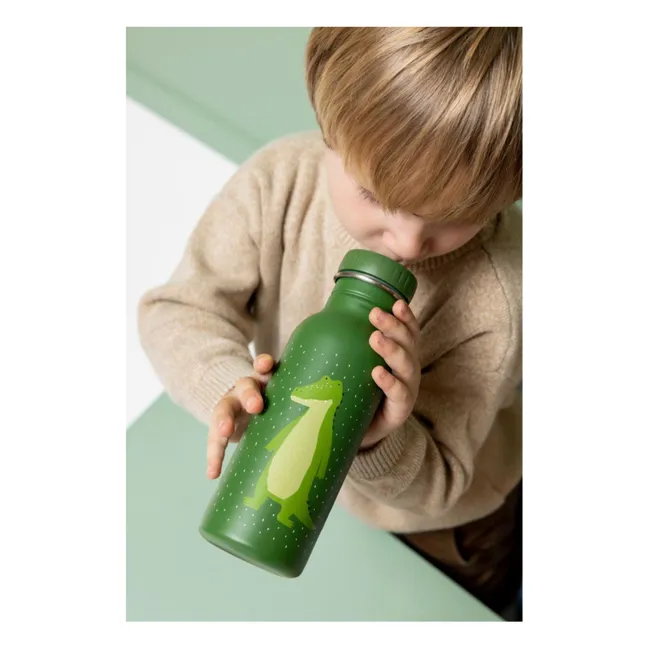 Gourde 500ml Mr. Alligator | Vert