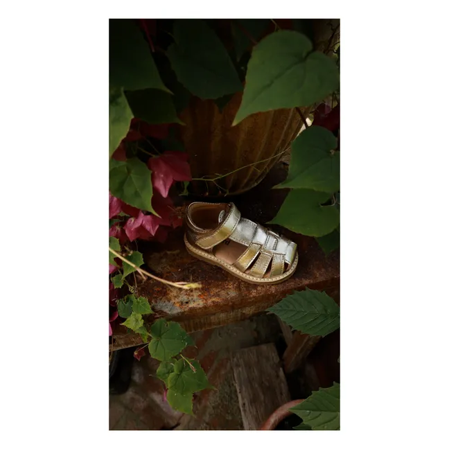 Sandalias Classic Scratch | Plateado