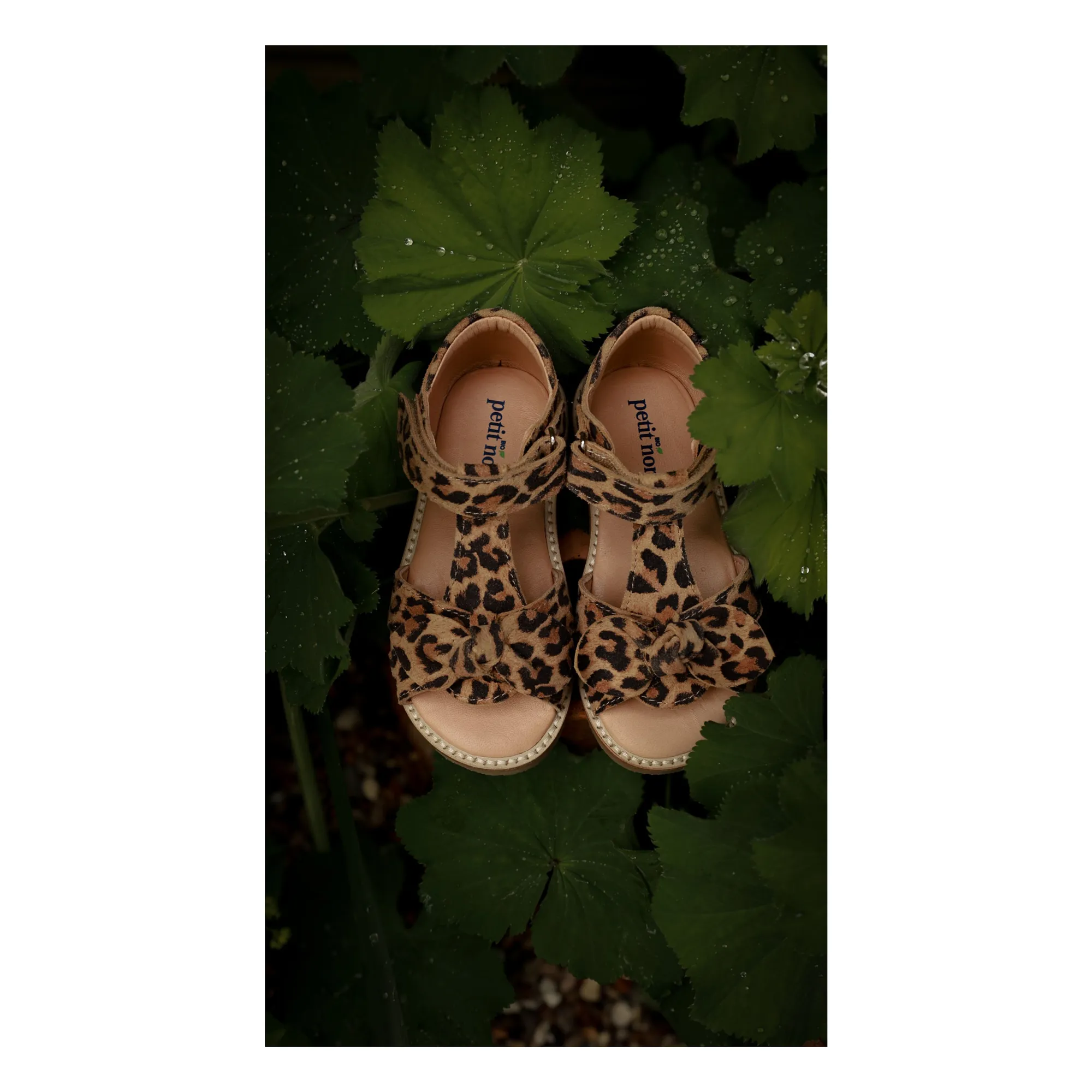 Sandales Bow Léopard | Brun- Image produit n°1