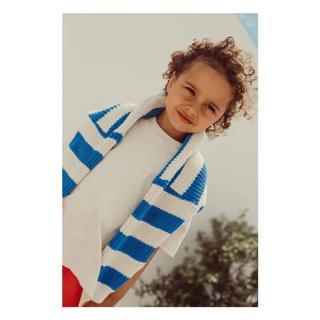 Pull Gastão Rayé Coton Bio | Bleu roi