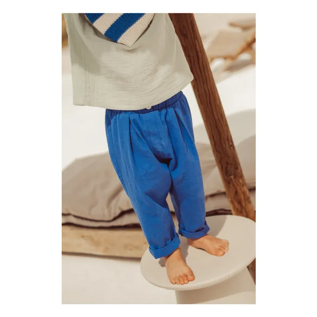 Pantalon Carrotte Camões | Bleu roi
