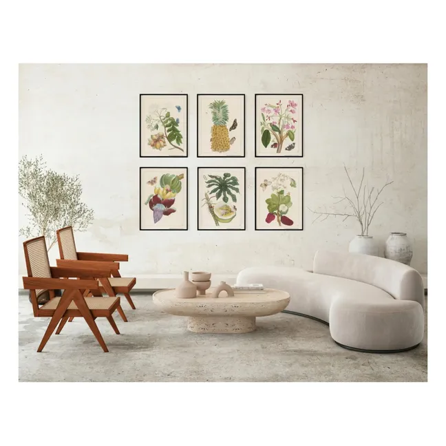 Cartel de Indian Jasmine