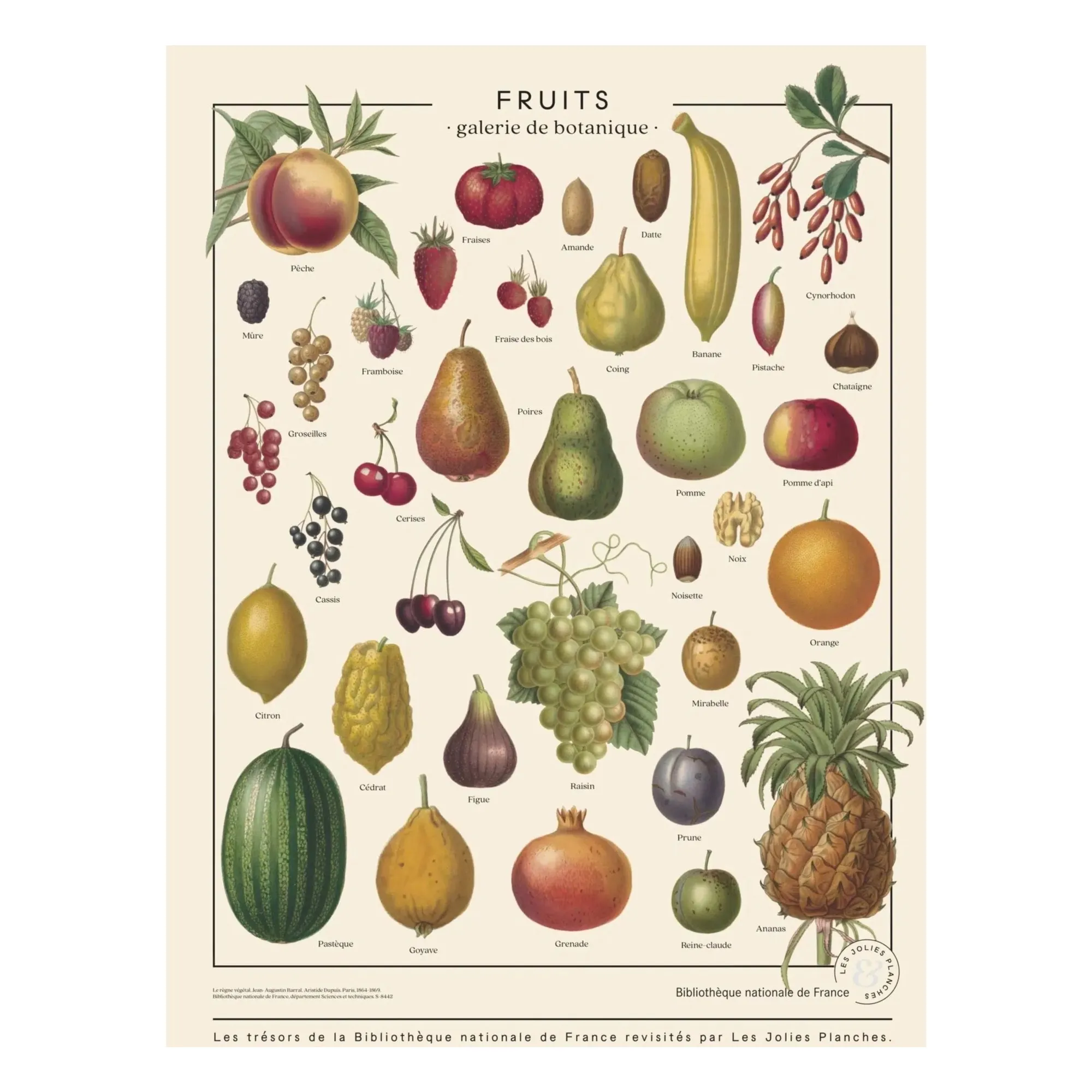 Les Jolies Planches Multicoloured Fruits Poster