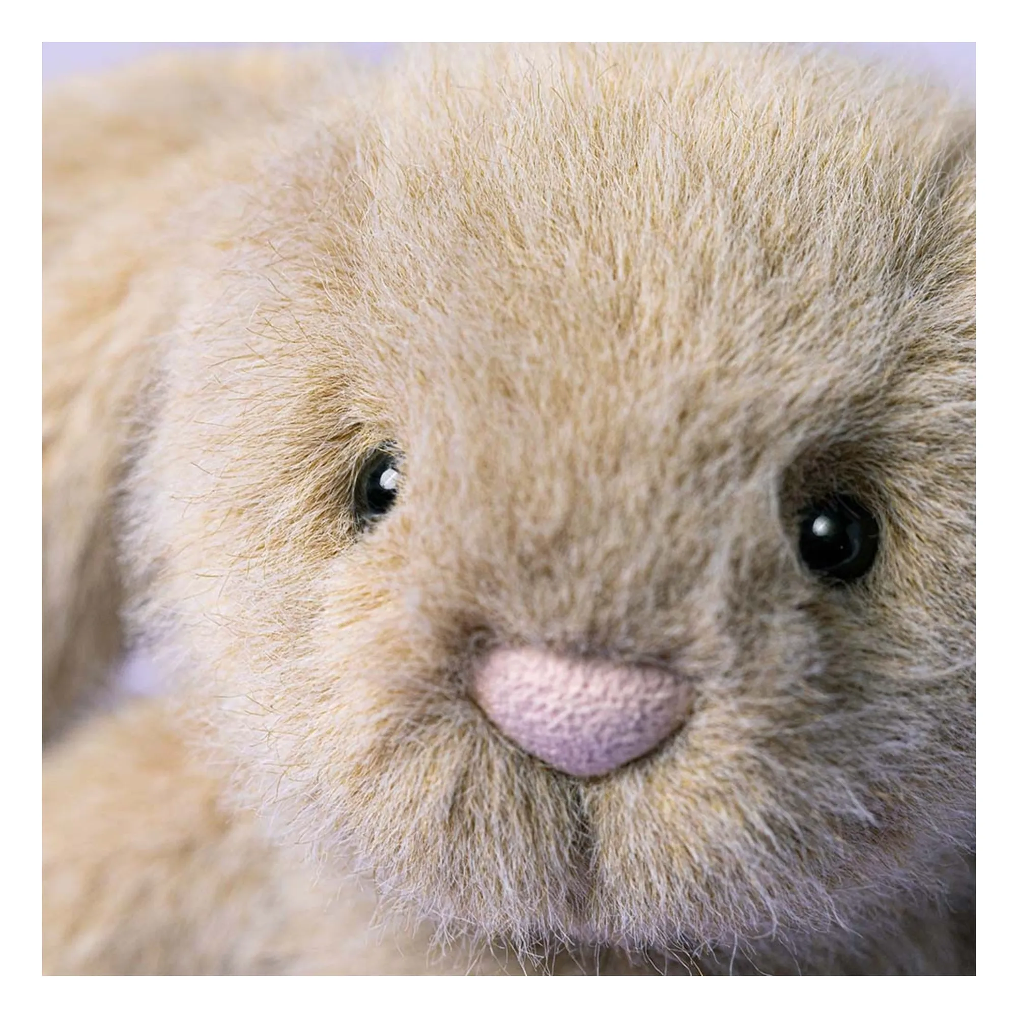 Conejo Fluffy | Avena- Imagen del producto n°1