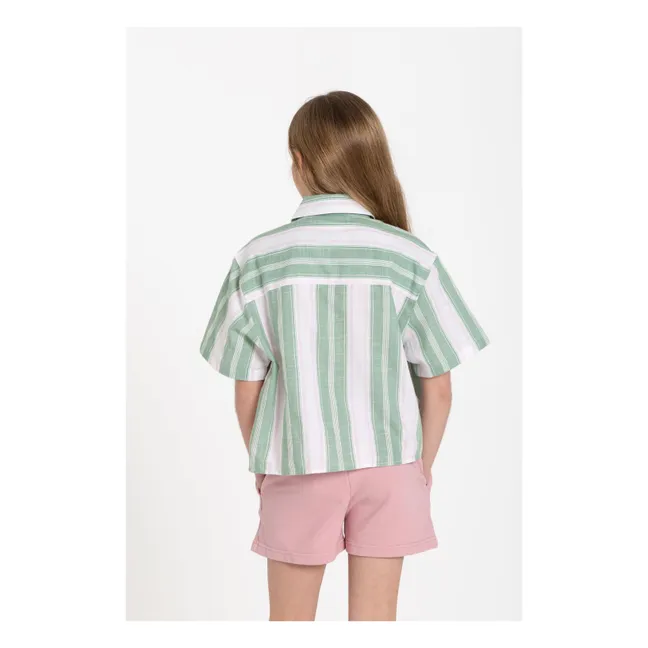Sawyer Striped Shirt | Mint Green