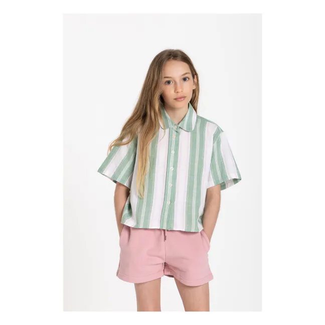 Sawyer Striped Shirt | Mint Green