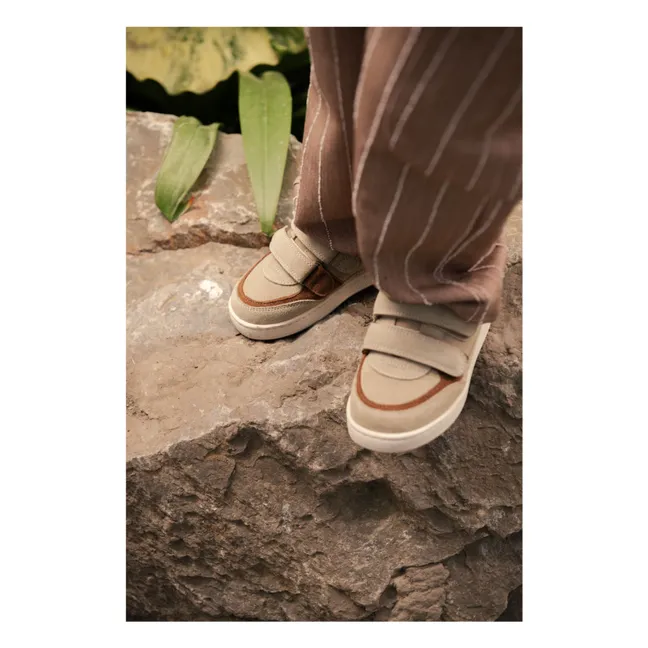 Baskets Scratchs Rinon Ours Suede | Beige