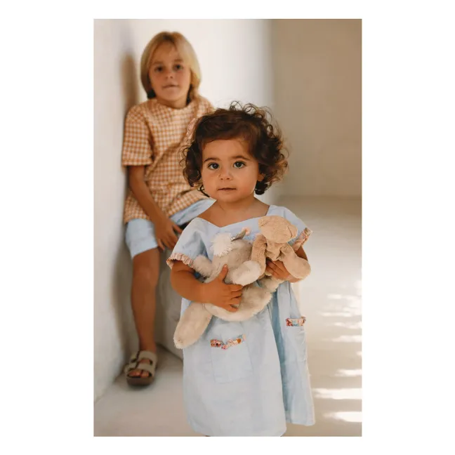 Marie Lin embroidered dress | Light blue