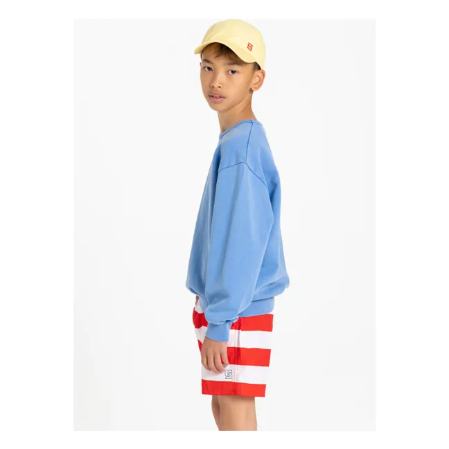 Archie Striped Swim Shorts | Dark red