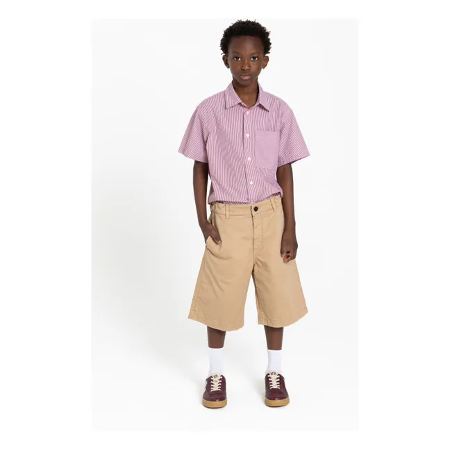 Chemise Rogue Rayée | Brique