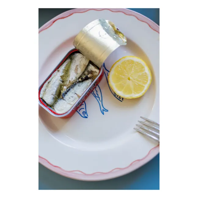 Assiette Calypso  | Rose