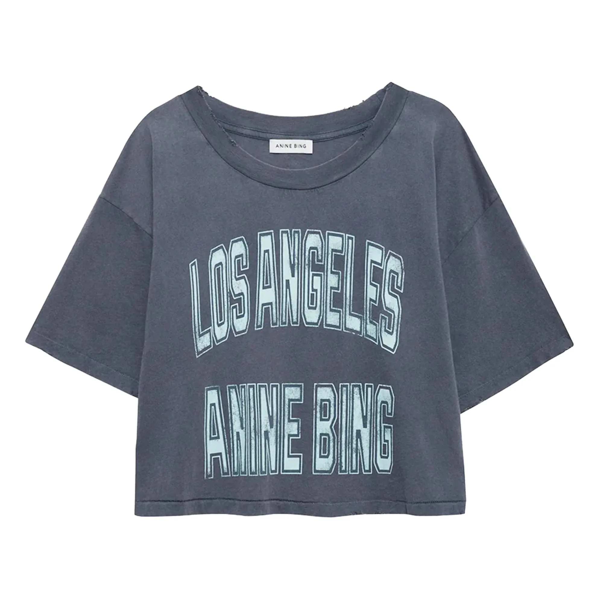 Anine Bing Grey Johnny T-Shirt