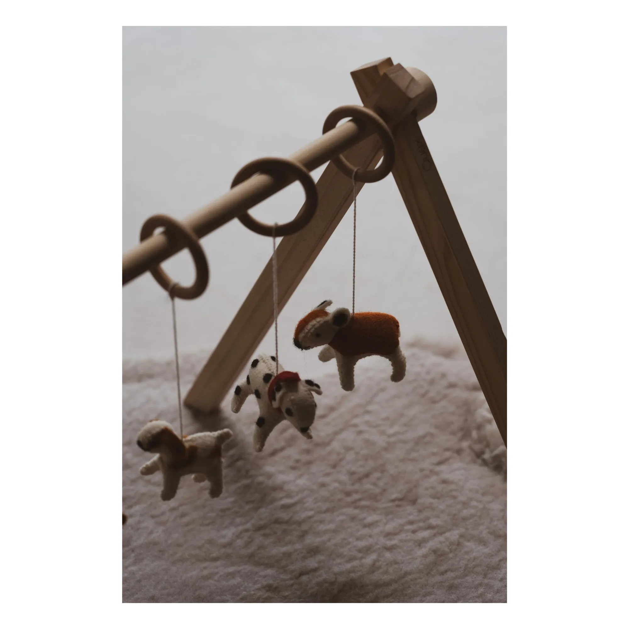 Juego de juguetes para arco de perro- Imagen del producto n°1