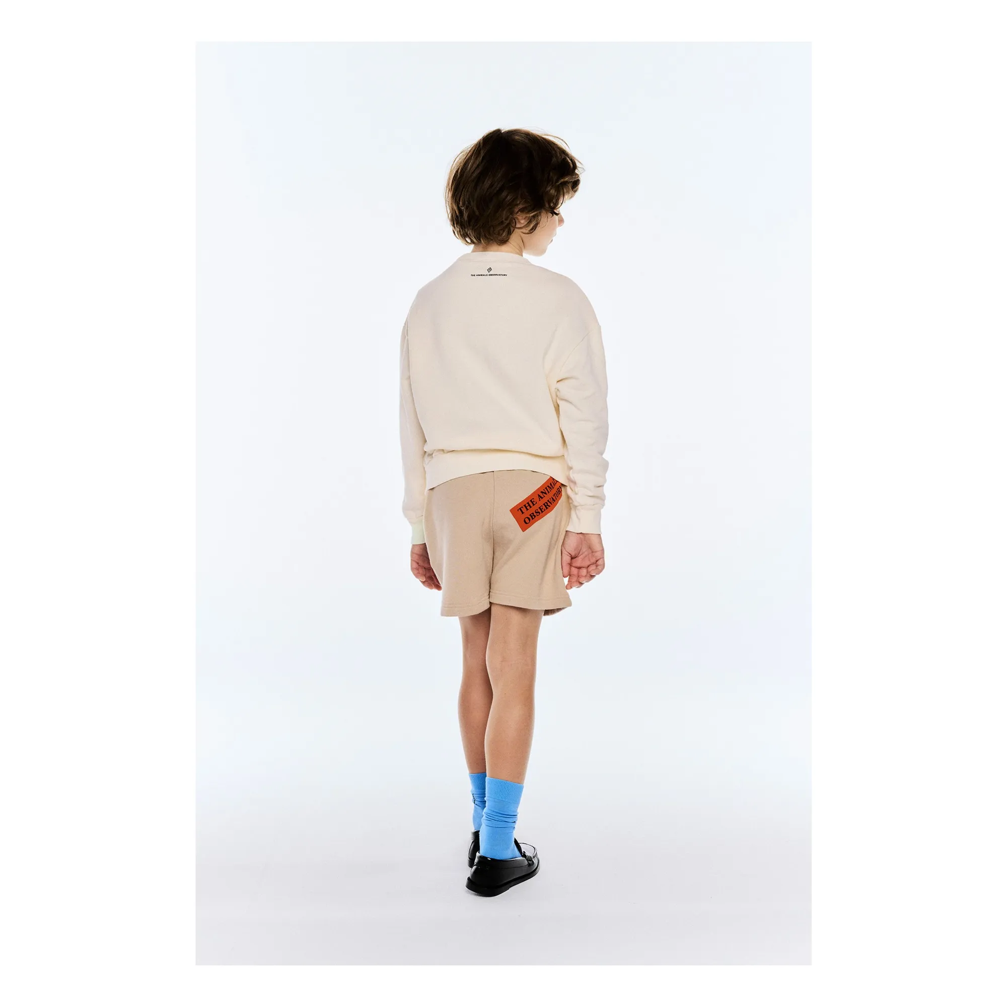 Short Hedgehog The Animals Observatory | Naturel- Image produit n°2
